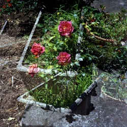 FOTO QUADRATE 6X6. Fotografie di Giulio Azzarello ©2021. FOTO QUADRATE 6X6. Fotografie di Giulio Azzarello ©2021.