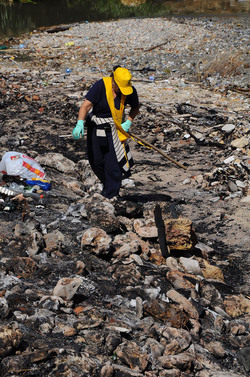 LA BONIFICA delle coste a Palermo una azione simbolica di Lega Ambiente Sicilia. Fotografie di Giulio Azzarello &copy;2014.