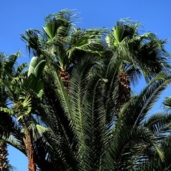 SELINUNTE. Fotografie di Giulio Azzarello ©2022. SELINUNTE. Fotografie di Giulio Azzarello ©2022.