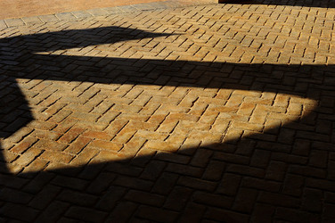 TENUTA vitivinicola in Sicilia. Fotografie di Giulio Azzarello ©2016. TENUTA vitivinicola in Sicilia. Fotografie di Giulio Azzarello ©2016.