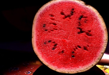 VUCCIRIA anni 90. Fotografie di Giulio Azzarello ©2022. VUCCIRIA anni 90. Fotografie di Giulio Azzarello ©2022.