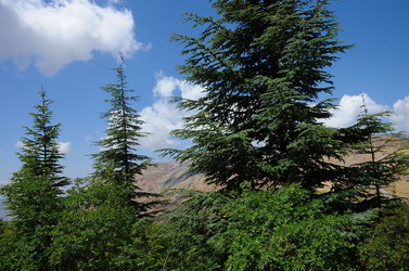 IL PARCO DELLE MADONIE da Polizzi Generosa in Sicilia. Fotografie di Giulio Azzarello &copy;2014.
