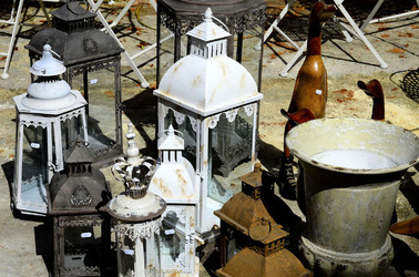 ORTO BOTANICO di Palermo in inverno. Fotografie di Giulio Azzarello &copy;2016.