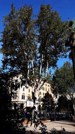 ROMA fotografie di Giulio Azzarello &copy;2022.