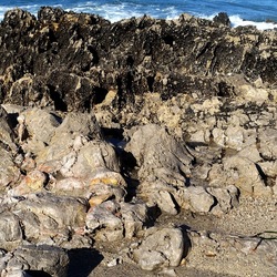 COSTA SICILIANA. Fotografie di Giulio Azzarello &copy;2022.