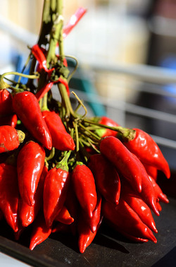 PEPERONCINO fotografie di Giulio Azzarello ©2014. PEPERONCINO fotografie di Giulio Azzarello ©2014.