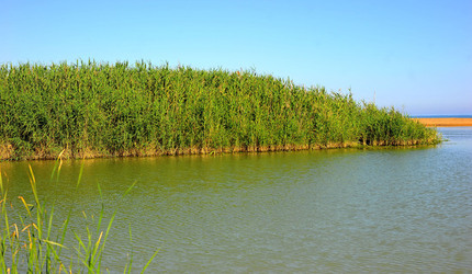 CANNETI in SICILIA. Fotografie di Giulio Azzarello &copy;2016.