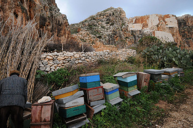 IL PRESEPE VIVENTE DI CUSTONACI in Sicilia. Fotografie di Giulio Azzarello ©2014. IL PRESEPE VIVENTE DI CUSTONACI in Sicilia. Fotografie di Giulio Azzarello ©2014.