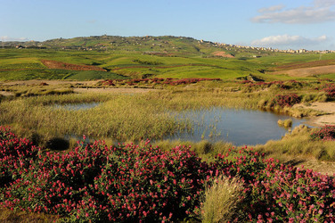 PAESAGGIO SICILIANO nel luogo delle macalube in Sicilia. Fotografie di Giulio Azzarello &copy;2014.