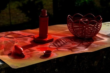 STILL LIFE ASSURDI fotografie di Giulio Azzarello &copy;2020.