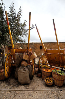 IL PRESEPE VIVENTE DI CUSTONACI in Sicilia. Fotografie di Giulio Azzarello ©2014. IL PRESEPE VIVENTE DI CUSTONACI in Sicilia. Fotografie di Giulio Azzarello ©2014.