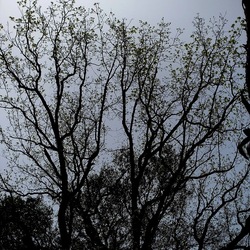 ORTO BOTANICO. Fotografie di Giulio Azzarello &copy;2024.