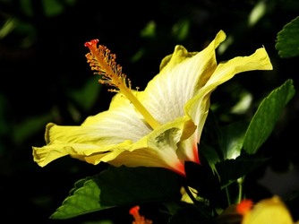 HABITAT NATURA in campagna. Fotografie di Giulio Azzarello ©2015 2016. HABITAT NATURA in campagna. Fotografie di Giulio Azzarello ©2015 2016.