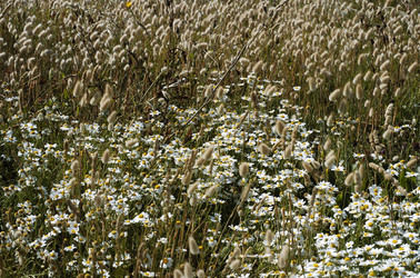 ARTE CONTEMPORANEA A PIRGI sito e riserva archeologica. Fotografie di Giulio Azzarello &copy;2014.