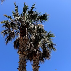 SAN VITO LO CAPO. Fotografie di Giulio Azzarello &copy;2023.