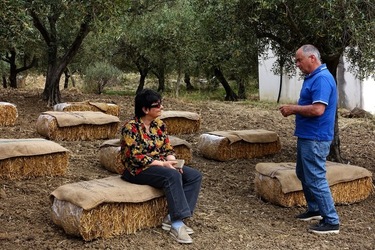 ULIVETO SICILIANO. Fotografie di Giulio Azzarello ©2022.