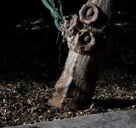 OMBRE di agosto. Fotografie di Giulio Azzarello &copy;2018.