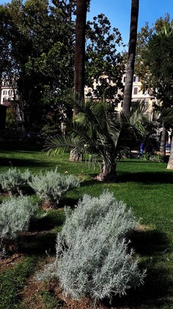 ROMA fotografie di Giulio Azzarello &copy;2022.