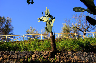 GOLE DELL ALCANTARA in Sicilia. Fotografie di Giulio Azzarello &copy;2016.