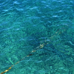 BARCHE. Fotografie di Giulio Azzarello &copy;2022.