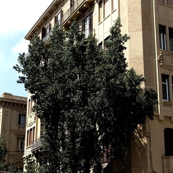 PALERMO. Fotografie di Giulio Azzarello &copy;2023.
