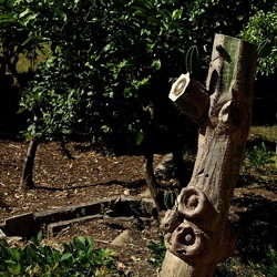 GIARDINO SICILIANO. Fotografie di Giulio Azzarello ©2022. GIARDINO SICILIANO. Fotografie di Giulio Azzarello ©2022.