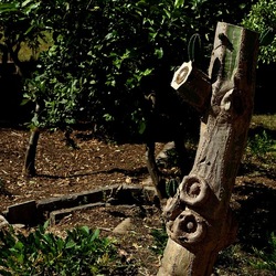 GIARDINO SICILIANO. Fotografie di Giulio Azzarello ©2022. GIARDINO SICILIANO. Fotografie di Giulio Azzarello ©2022.