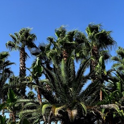 SELINUNTE. Fotografie di Giulio Azzarello ©2022. SELINUNTE. Fotografie di Giulio Azzarello ©2022.