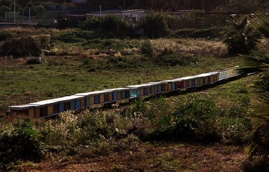 PALERMO fotografie di Giulio Azzarello ©2020.