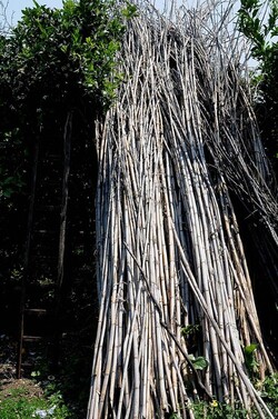 IL CANNETO del contadino siciliano. Fotografie di Giulio Azzarello &copy;2014.