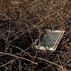 RAMI E ROVI. Fotografie di Giulio Azzarello ©2023. RAMI E ROVI. Fotografie di Giulio Azzarello ©2023.