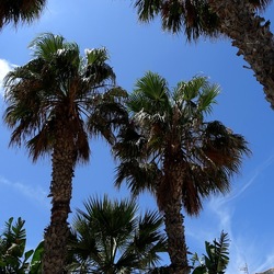 SAN VITO LO CAPO. Fotografie di Giulio Azzarello &copy;2023.