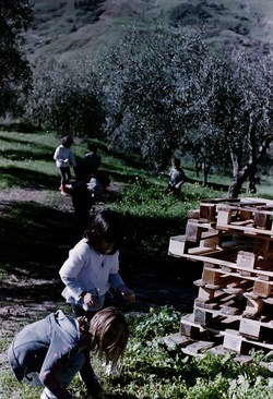 DIGITALIZZAZIONI fotografie di Giulio Azzarello &copy;2020.