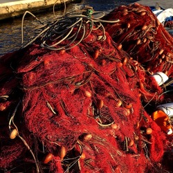 RETI DA PESCA. Fotografie di Giulio Azzarello &copy;2022.