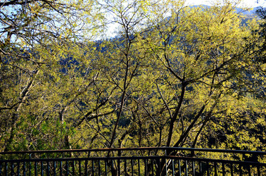 GOLE DELL ALCANTARA in Sicilia. Fotografie di Giulio Azzarello &copy;2016.