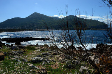 CAPO GALLO riserva marina e naturalistica a Palermo panoramiche e particolari. Fotografie di Giulio Azzarello ©2014. CAPO GALLO riserva marina e naturalistica a Palermo panoramiche e particolari. Fotografie di Giulio Azzarello ©2014.