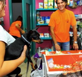 NEGOZIO di ANIMALI. Fotografie di Giulio Azzarello ©2018. NEGOZIO di ANIMALI. Fotografie di Giulio Azzarello ©2018.