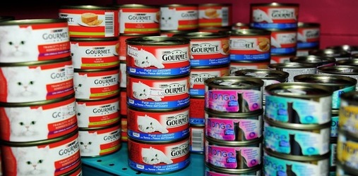 NEGOZIO di ANIMALI. Fotografie di Giulio Azzarello ©2018. NEGOZIO di ANIMALI. Fotografie di Giulio Azzarello ©2018.