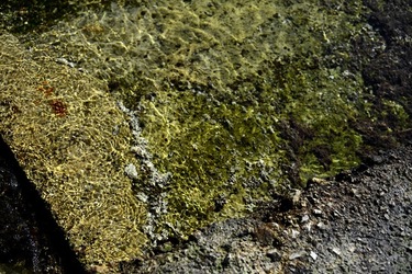 FEBBRAIO Fotografie di Giulio Azzarello &copy;2022.