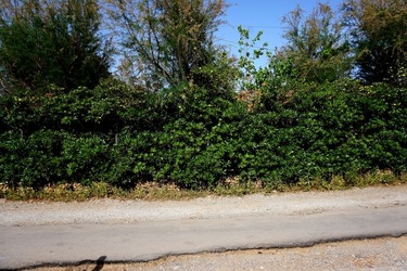 MONDELLO. Fotografie di Giulio Azzarello &copy;2023.