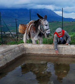TIPICO FRANTOIO fotografie di Giulio Azzarello ©2014. TIPICO FRANTOIO fotografie di Giulio Azzarello ©2014.