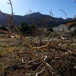 BESTIE. Fotografie di Giulio Azzarello ©2022. BESTIE. Fotografie di Giulio Azzarello ©2022.