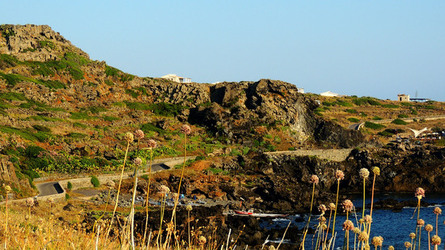 ISOLA DI USTICA la costa. Fotografie di Giulio Azzarello &copy;2016.