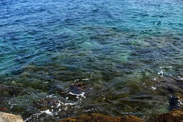 ARENELLA Fotografia di Giulio Azzarello ©2022.