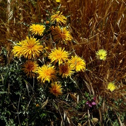 TERRASINI. Fotografie di Giulio Azzarello &copy;2022.