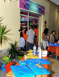 NEGOZIO di ANIMALI. Fotografie di Giulio Azzarello ©2018. NEGOZIO di ANIMALI. Fotografie di Giulio Azzarello ©2018.