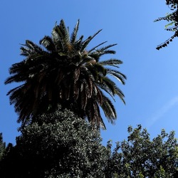 Arabo Normanno. Fotografie di Giulio Azzarello ©2024. Arabo Normanno. Fotografie di Giulio Azzarello ©2024.