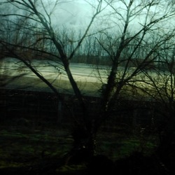 TRENO fotografie di Giulio Azzarello ©2020. TRENO fotografie di Giulio Azzarello ©2020.