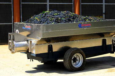 AZIENDA VITIVINICOLA in Sicilia. Fotografie di Giulio Azzarello ©2016. AZIENDA VITIVINICOLA in Sicilia. Fotografie di Giulio Azzarello ©2016.