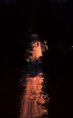 DIGITALIZZAZIONI fotografie di Giulio Azzarello &copy;2020.